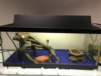 Reptile tank, View more