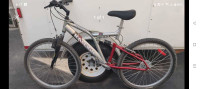 Raleigh Gator FS mountain bike