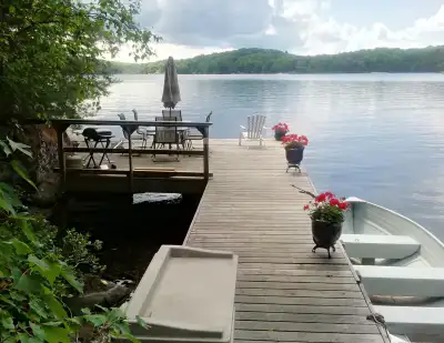 Muskoka private location, good swimming, pet friendly, View more