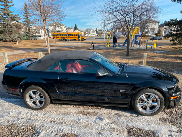 Ford Mustang 2006 convertable in Cars & Trucks in Calgary - Image 3