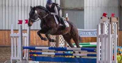 2012 all around packer , View more