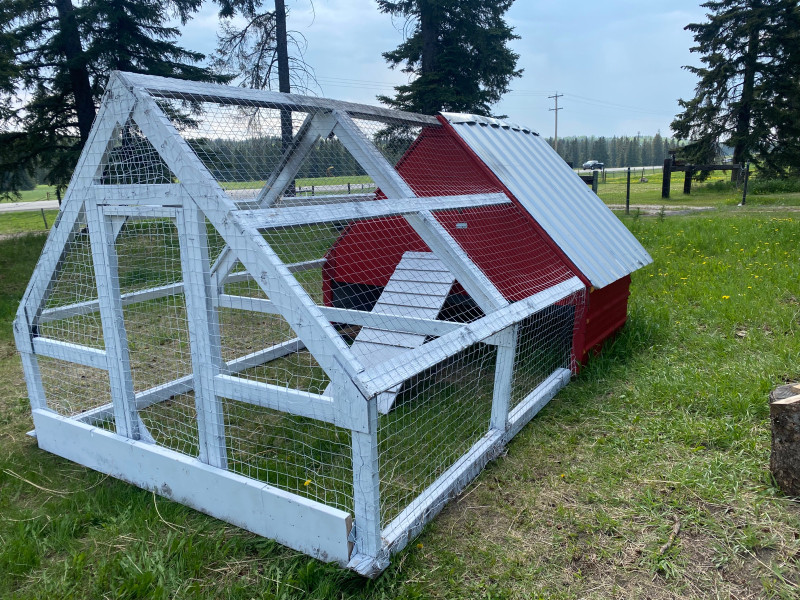 Chicken coop Livestock Red Deer Kijiji