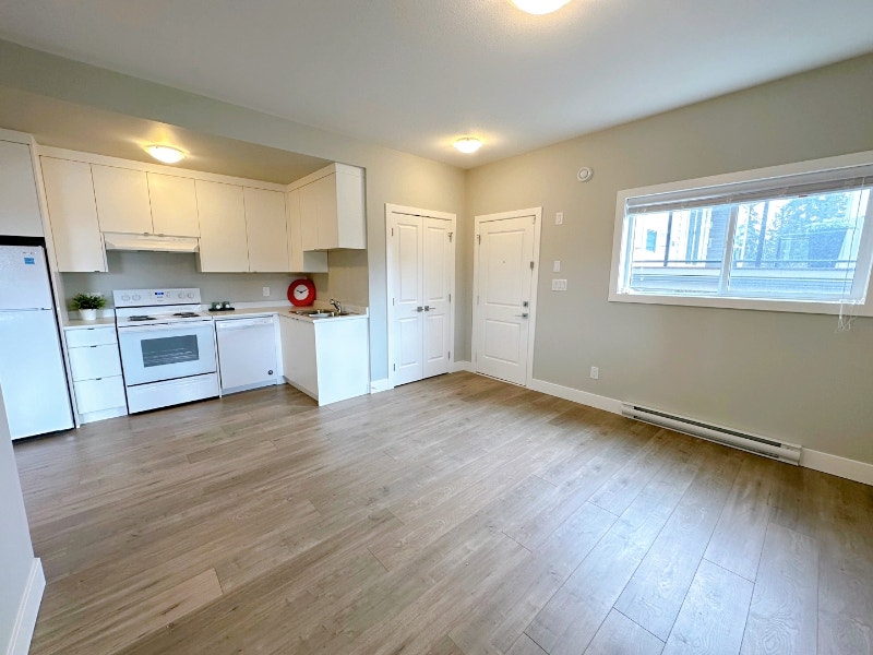 Brand New Above Ground Basement 2 Bed + 1 bath In Burke Mountain Long