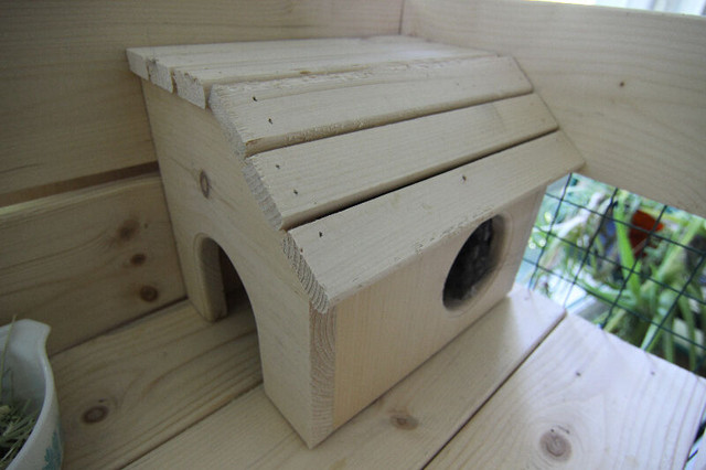 Custom-Built Small Animal Houses in Accessories in City of Toronto - Image 3