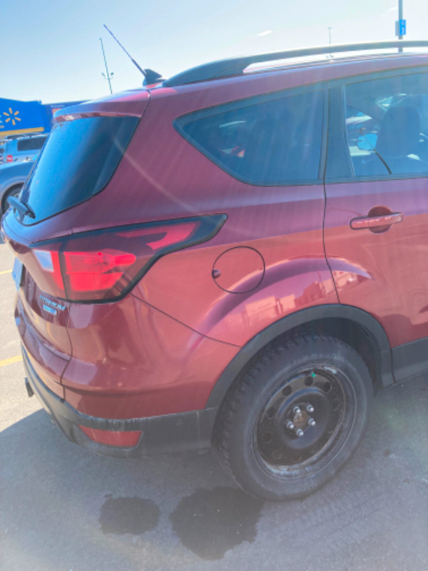 2019 Ford Escape Titanium in Cars & Trucks in Edmonton - Image 3
