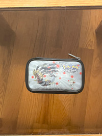 Nintendo DS case