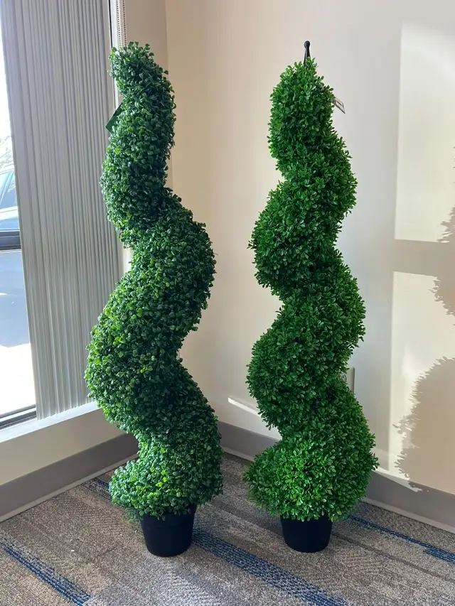 Lush Green Boxwood Trees: Durable & UV-Protected for Outdoor in Outdoor Décor in Mississauga / Peel Region - Image 5