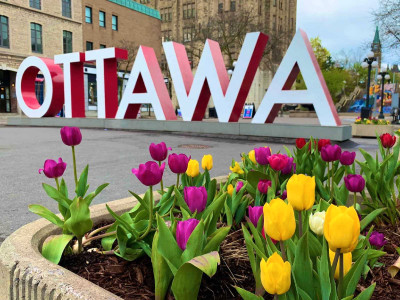 Day Trip for Ottawa Tulip Festival