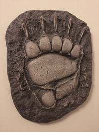 Grizzly Bear foot print