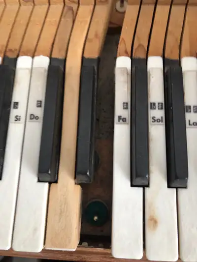 text address 514 206-0449 piano montreal, View more