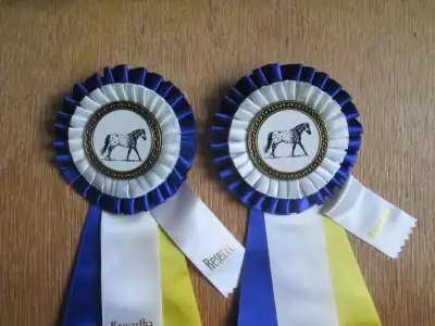 2 blue & white appaloosa horse show ribbons, View more