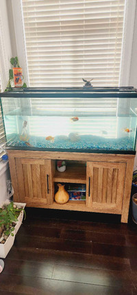 Fish tank and cabnet
