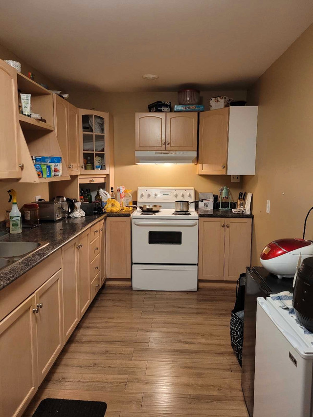Hey students, One bedroom in share apartment available September dans Chambres à louer et colocs  à Fredericton - Image 2