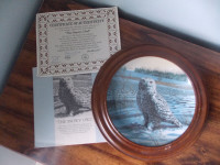 Collector Plate - "Snowy Owl" in frame