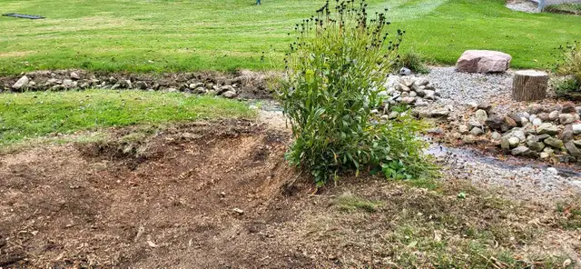 Tree Services64840195713410122