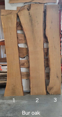 Live edge burr oak Winnipeg Manitoba Preview