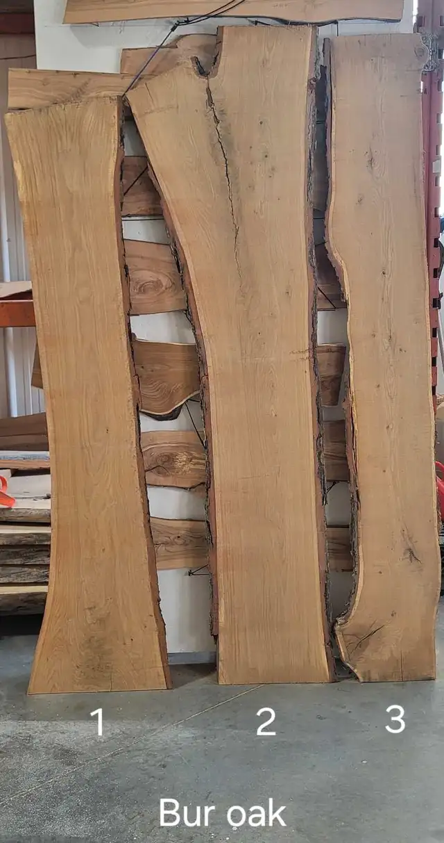Live edge burr oak in Hobbies & Crafts in Winnipeg - Image 2