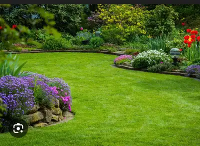 S.M.R landscaping & cleaning, View more
