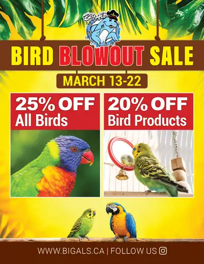 Big Al’s Bird Blowout Sale – 25% Off ALL BIRDS & More, View more