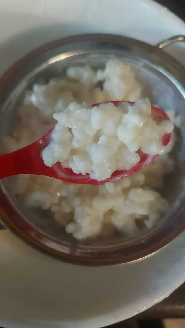 Milk kefir * Probiotic ! in Animal & Pet Services in Edmonton - Image 3