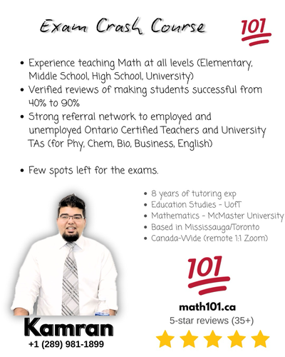 High School Math Tutor - $35/hr - TONS OF REVIEWS, View more