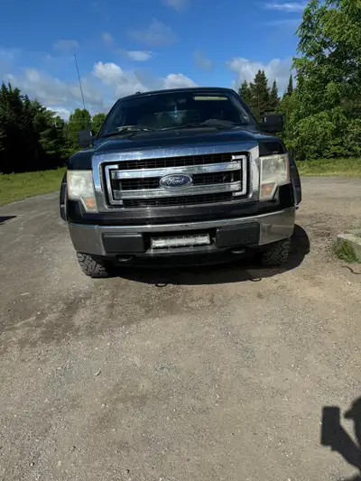 2013 ford f150