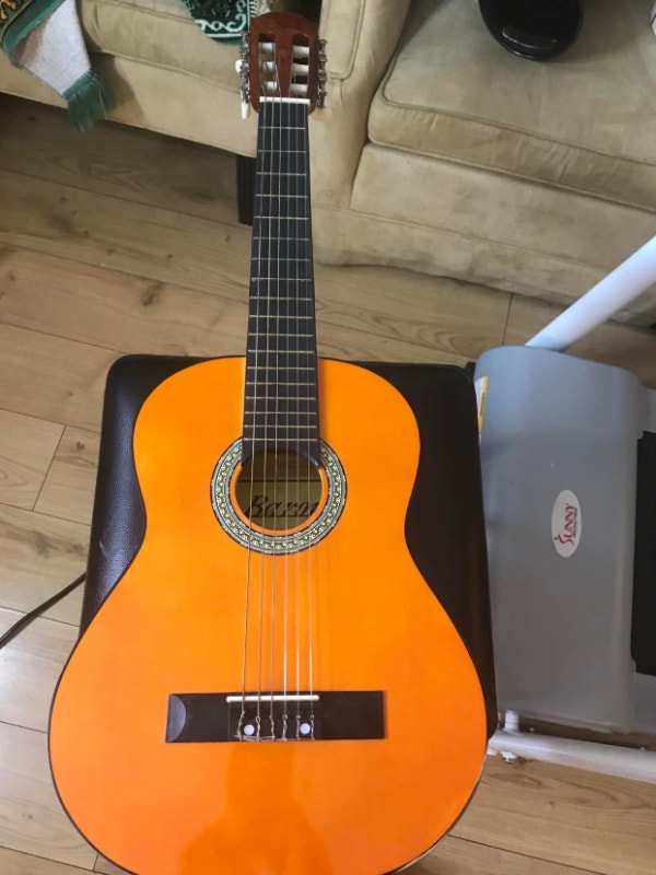 Two Acoustic Guitars For Sale Guitars Ottawa Kijiji
