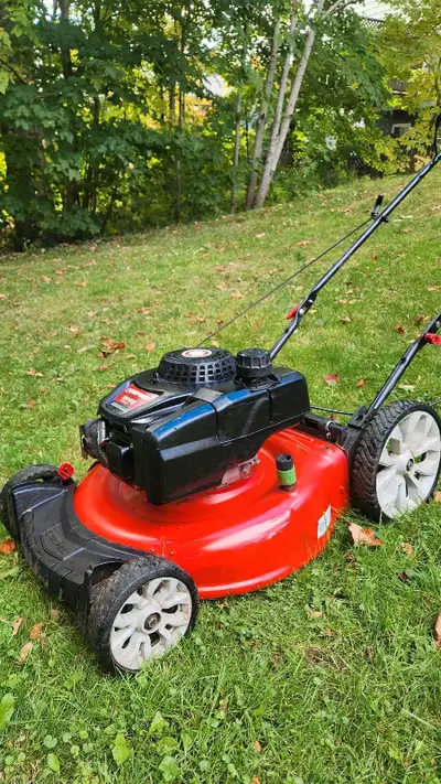 Lawn mower 2024, View more