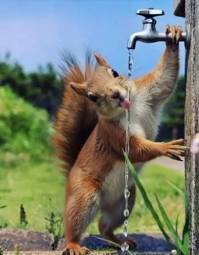 Great Friend Only!!! (Edmonton Only)!!!!64520064735619121