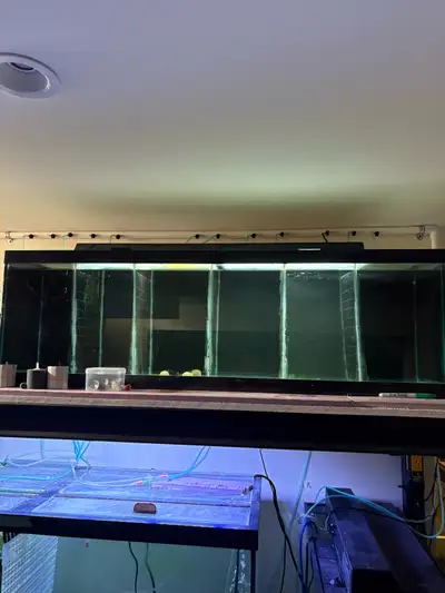 Have a 40 gallon fish tank with partitions ,6 mini tanks in one , I used it for breeding different f...