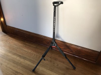 Ultimate Guitar Stand