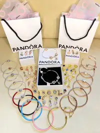 Brand New Pandora Christmas Gifts