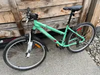 CCM adult mountain bike, 26" rims