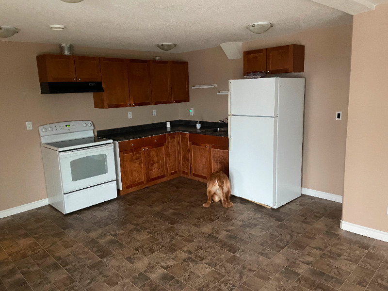 Bachelor suite for rent 900 Long Term Rentals Prince Kijiji