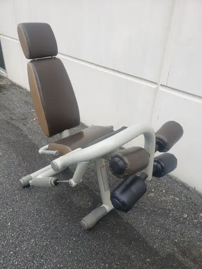 Technogym Leg Extension Bench, View more