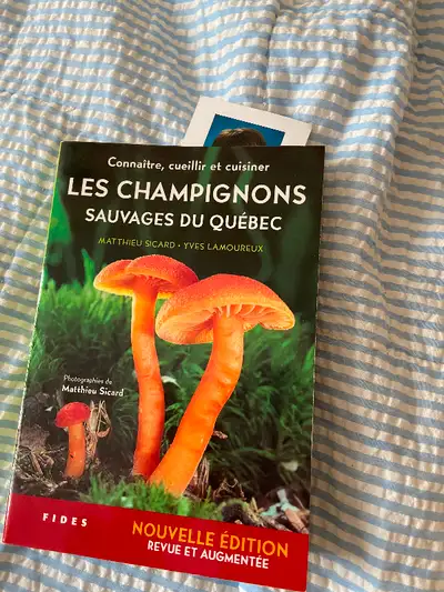 Livre comme neuf: les champignons sauvages du Québec, View more