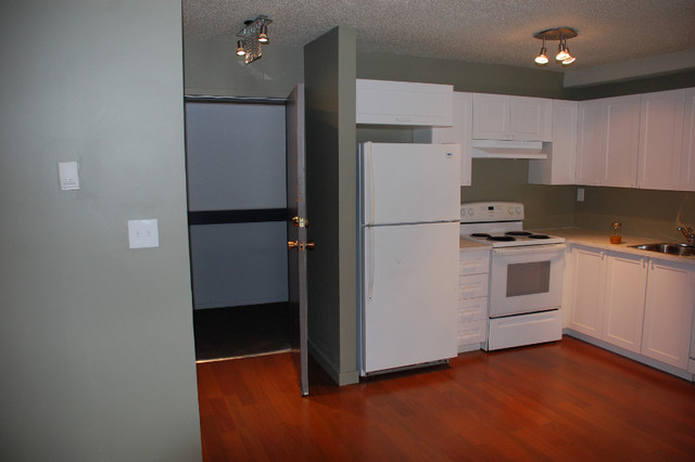 Newly Renovated South East Edmonton Apartment Condo for Sale in Condos for Sale in Edmonton - Image 4
