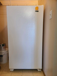 Standing freezer