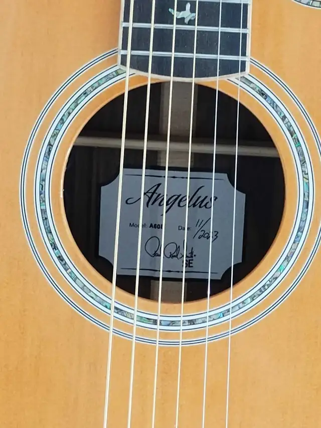 PRS SE Angelus A60e Acoustic/Electric Guitar + Hardshell Case in Guitars in Markham / York Region - Image 11