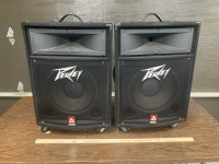 Peavey TLS 2 PA speakers