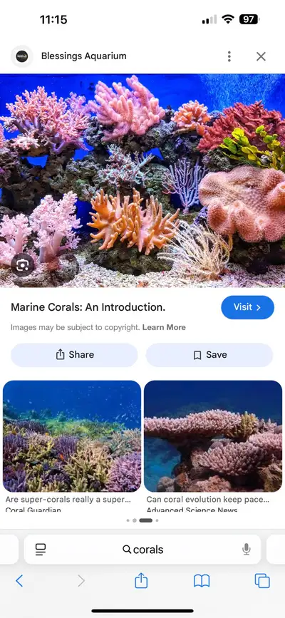 Looking for saltwater corals , View more