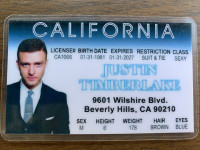 Justin Timberlake Novelty ID Licence Showcase 319