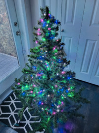 Christmas tree for sale
