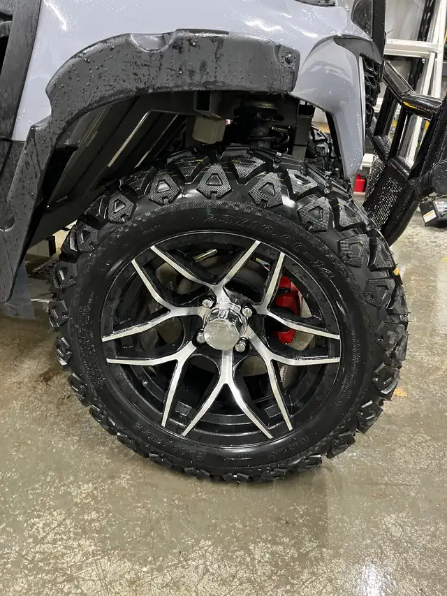 Custom Golf Cart65561386517123122