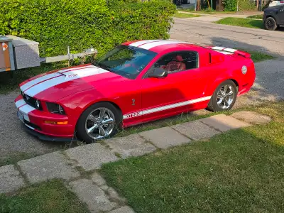 Mustang SHELBY GT 500 TRIBUTE CAR, Make your neighbors envious and own this beauty at a 3rd of the c...