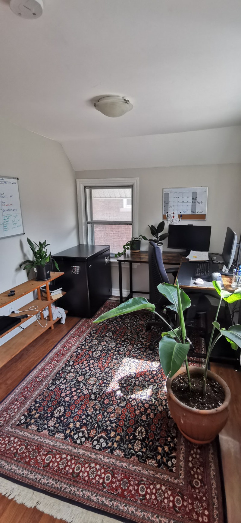 Bachelor apartment in Centretown Long Term Rentals Ottawa Kijiji