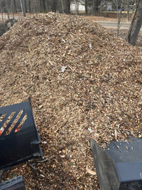 Arborist Wood Chips