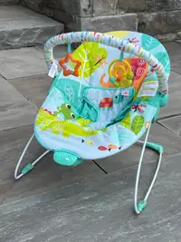 Bouncy Chair with Soothing Motion