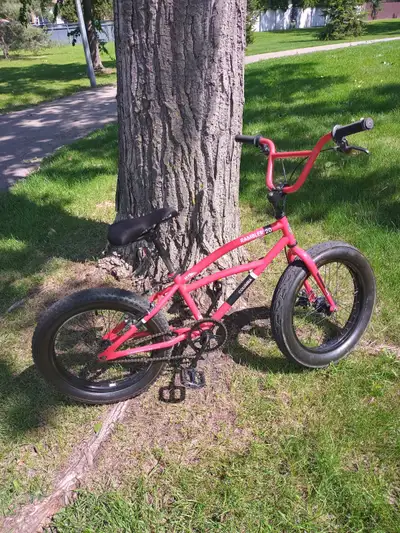 BMX FAT BIKE, View more