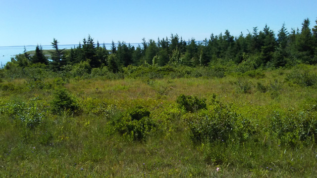 Ocean Frontage,  Cape Breton in Land for Sale in Cole Harbour - Image 2